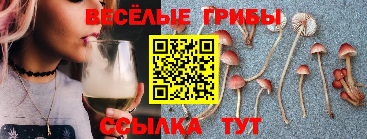 Заволжье  Псилоцибиновые грибы Magic Shrooms  закладка  Псилоцибиновые грибы MAGIC MUSHROOMS  Вход с VPN 