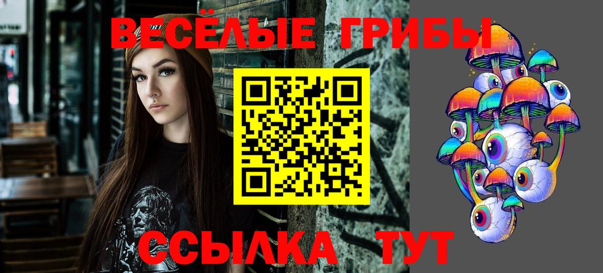 Псилоцибиновые грибы GOLDEN TEACHER Заволжье