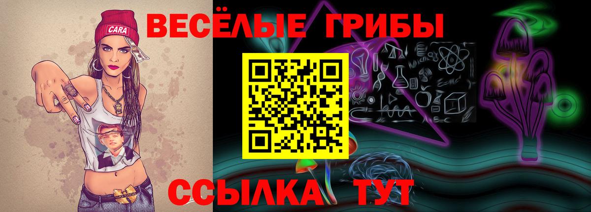 Наркошоп  ЭКСТАЗИ  Вход с VPN  Меф МЯУ МЯУ кристаллы  ГАШИШ  Марихуана  Кокаин  Заволжье  MDMA 